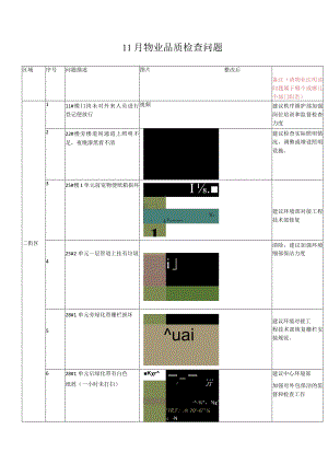 11月9、10日地产品质检查问题项.docx