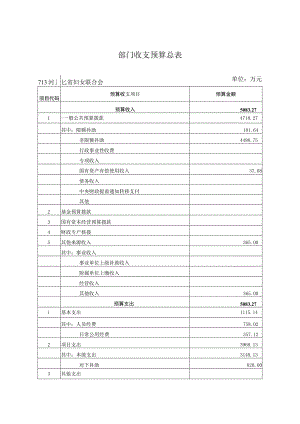 部门收支预算总表.docx