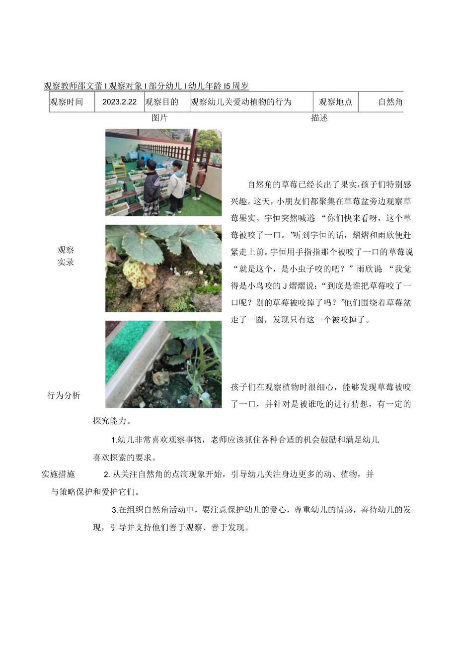 镇江新区港口幼儿园幼儿种植区活动观察记录.docx_第3页