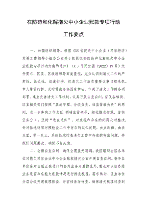 在防范和化解拖欠中小企业账款专项行动工作要点.docx