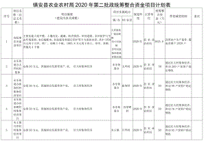 镇安县农业农村局2020年第二批政统筹整合资金项目计划表.docx