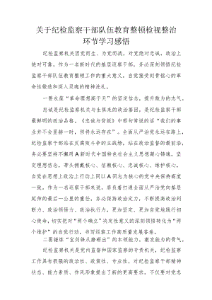 关于纪检监察干部队伍教育整顿检视整治环节学习感悟.docx