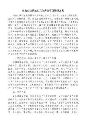 鲇鱼山镇航空文化产业项目管理方案.docx