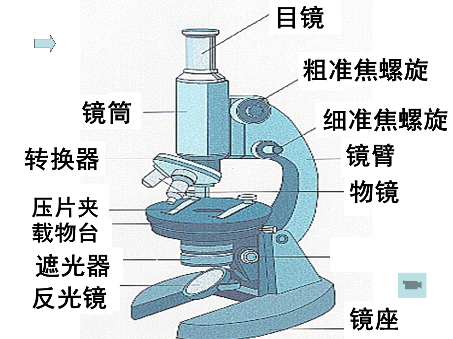 细胞的多样性和统一性课件赵太华精品教育.ppt_第3页