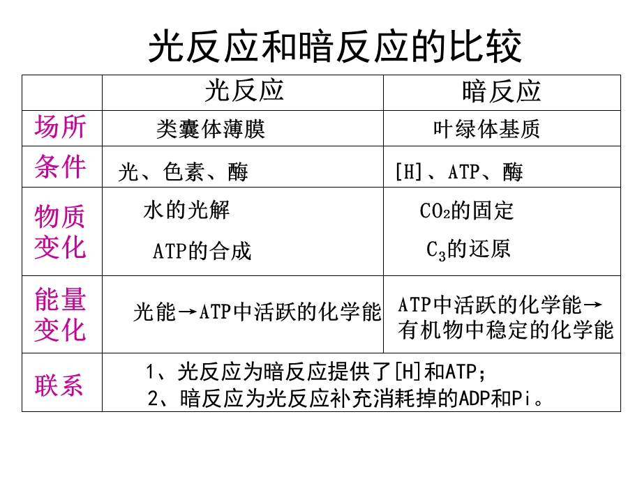 影响光合作用因素公开课.ppt_第3页