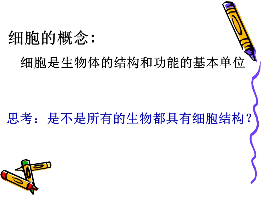 细胞的类型和结构精品教育.ppt_第2页