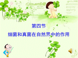 细菌和真菌在自然界中的作用课件精品教育.ppt