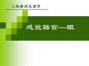 感觉器官视器.ppt