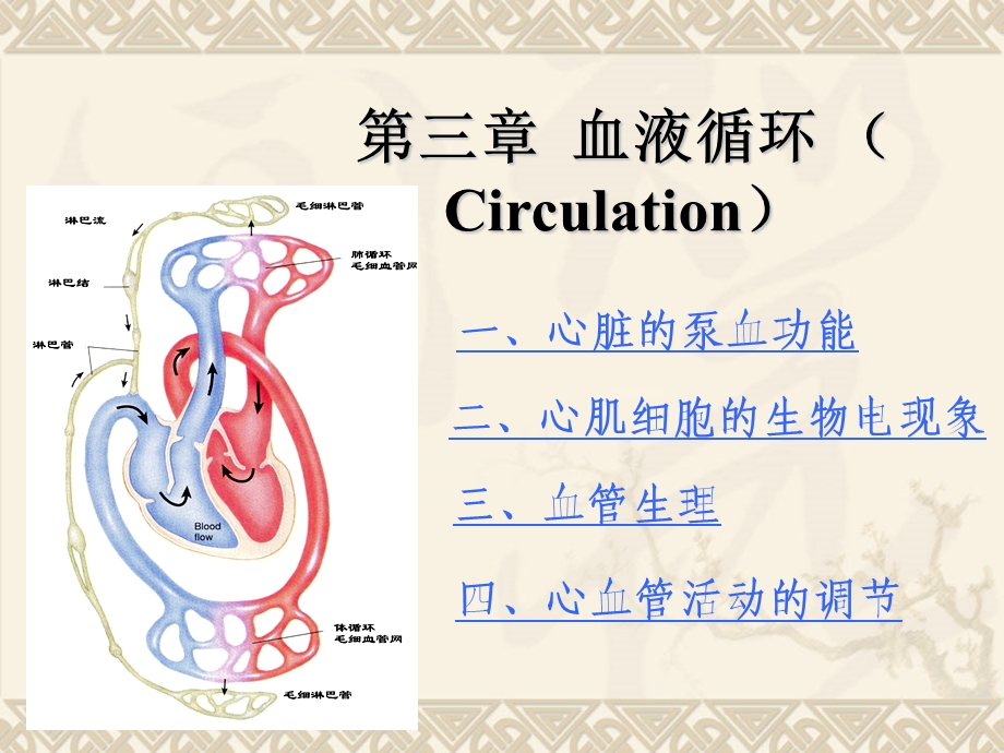 心血管活动的调节.22ppt.ppt_第1页