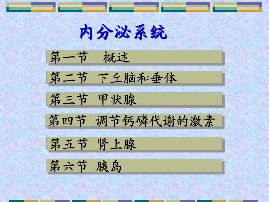 感觉器官,内分泌系统 .ppt_第2页