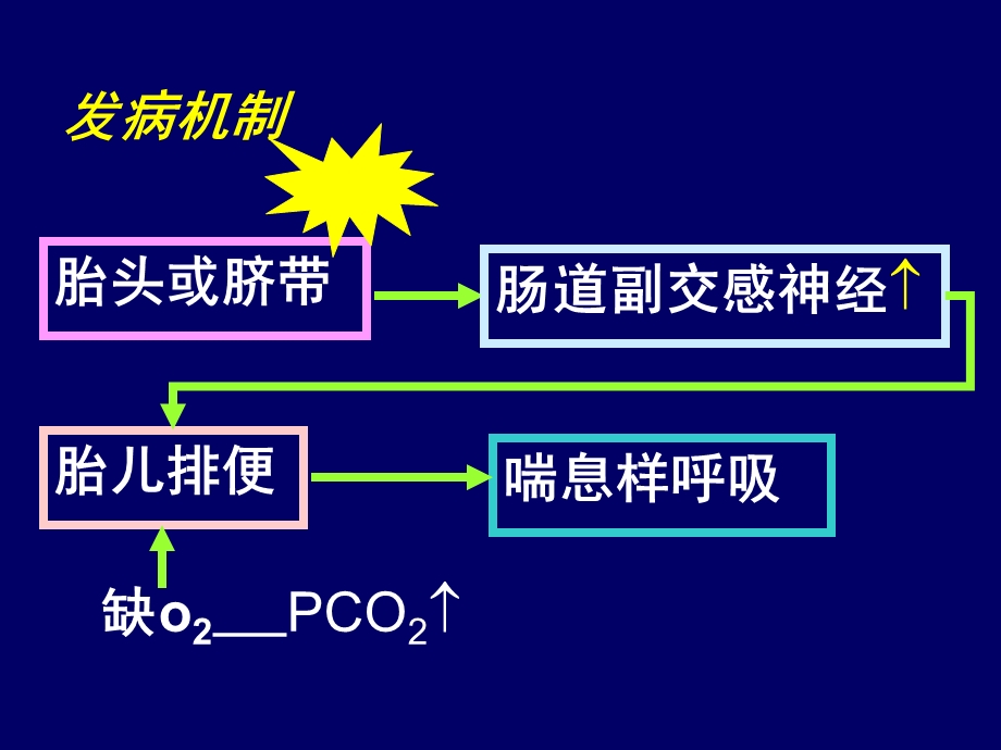 新生儿肺炎预防和治疗名师编辑PPT课件.ppt_第3页