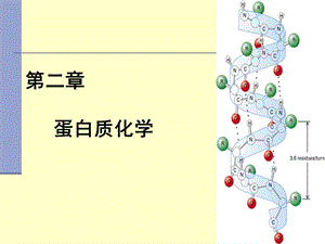 第2章 蛋白质.ppt