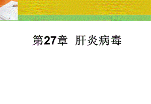 第27章肝炎病毒精品PPT课件名师编辑PPT课件.ppt