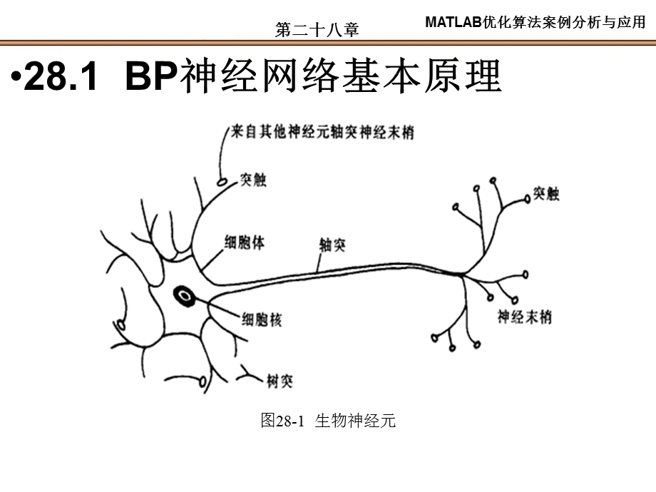 第28章基于BP的数据分类.ppt_第3页