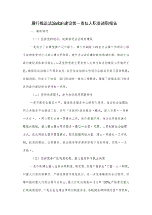 履行推进法治政府建设第一责任人职责述职报告.docx