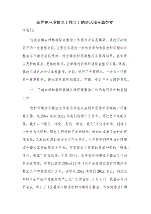 领导在环境整治工作会上的讲话稿三篇范文.docx