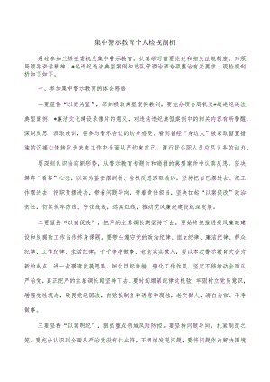 集中警示教育个人检视剖析.docx