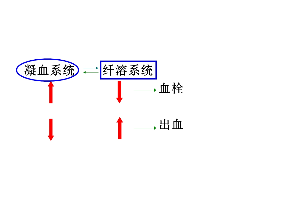 第28章作用于血液及造血器官的药物.ppt_第2页