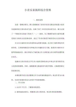 最新整理《小音乐家扬科》综合资料.docx