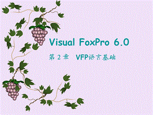 第2章VFP语言基础.ppt