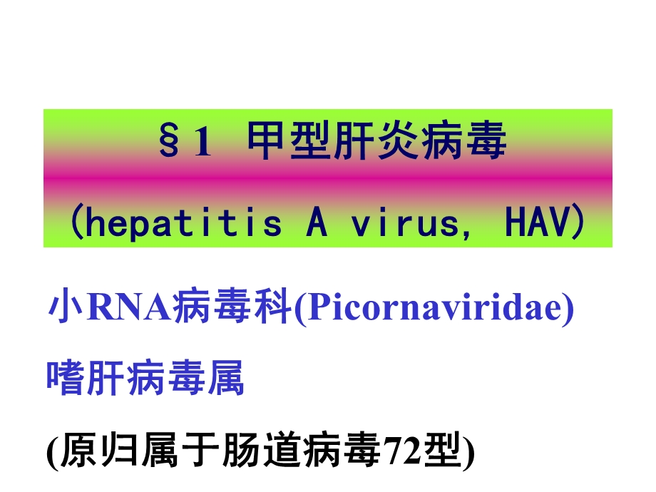 第28章肝炎病毒.ppt_第3页