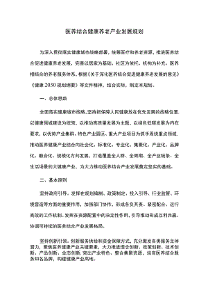 医养结合健康养老产业发展规划.docx