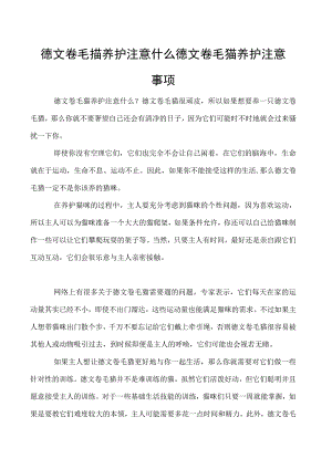 德文卷毛猫养护注意什么 德文卷毛猫养护注意事项.docx