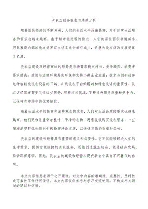 洗衣店财务报表与绩效分析.docx