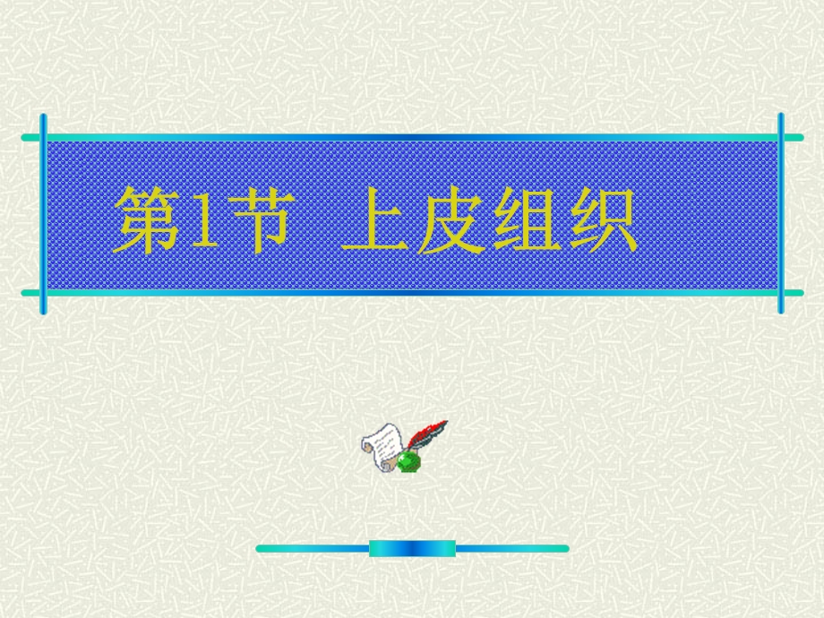 第3章基本组织1.ppt_第2页