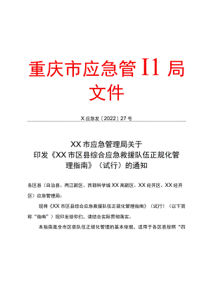 区县综合应急救援队伍正规化管理指南.docx