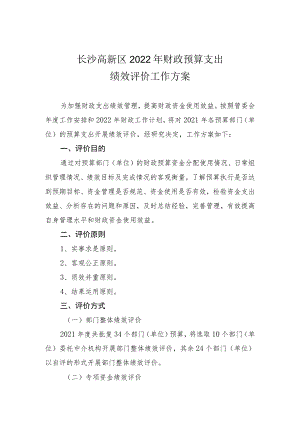 长沙高新区2022年财政预算支出绩效评价工作方案.docx