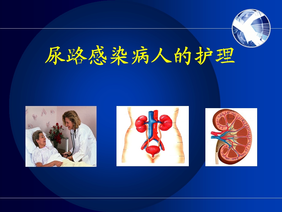 [临床医学]尿路感染病人的护理.ppt_第1页