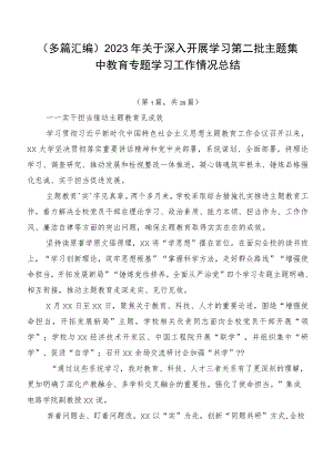 （多篇汇编）2023年关于深入开展学习第二批主题集中教育专题学习工作情况总结.docx