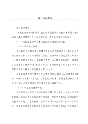 项目情况报告.docx