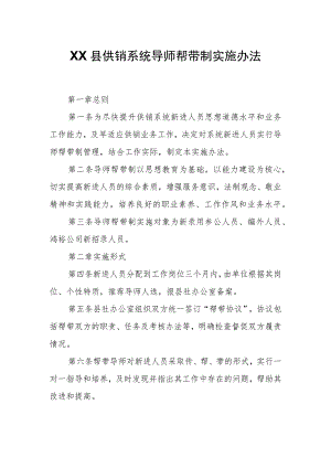 XX县供销系统导师帮带制实施办法.docx