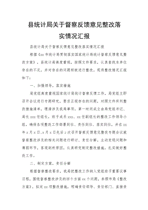 县统计局关于督察反馈意见整改落实情况汇报.docx