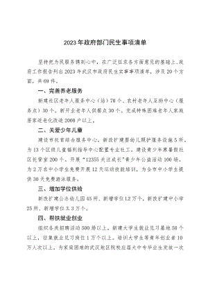 2023年政府部门民生事项清单.docx