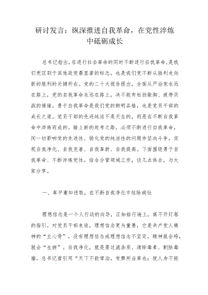 研讨发言：纵深推进自我革命在党性淬炼中砥砺成长.docx