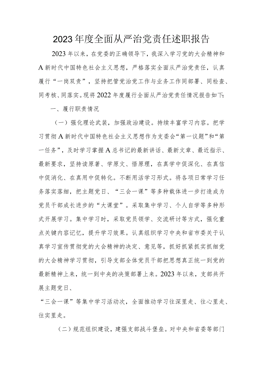 2023年度全面从严治党责任述职报告.docx_第1页