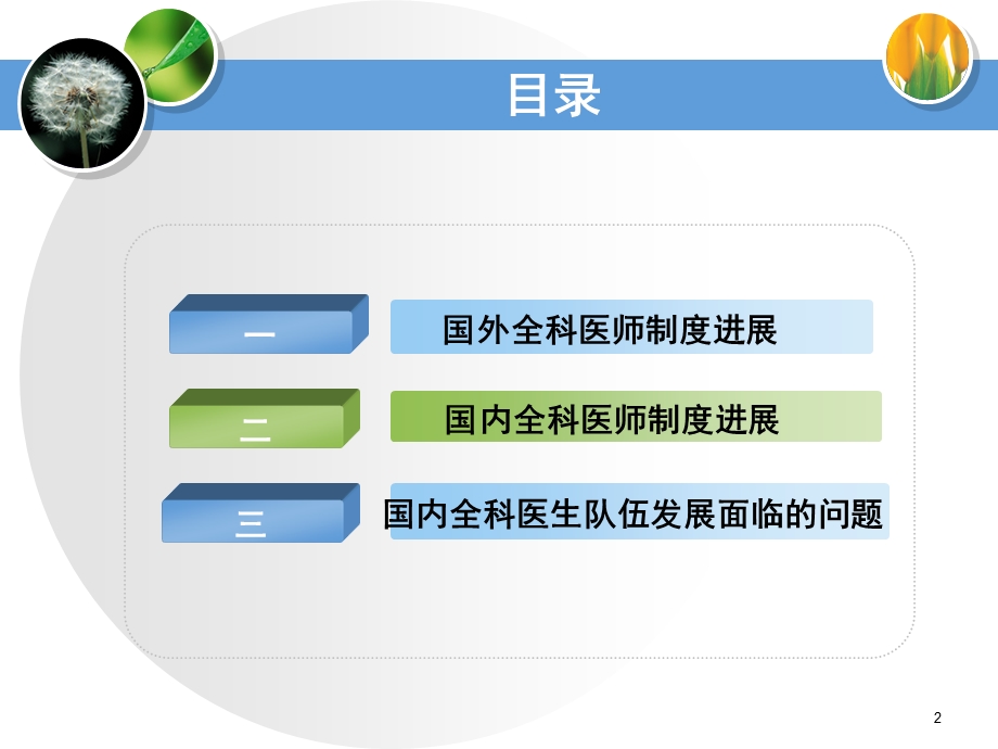 全科医生制度发展历程及面临的问题.ppt_第2页