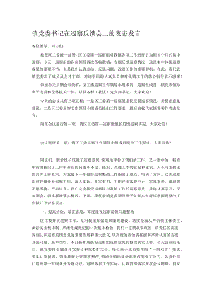 镇党委书记在巡察反馈会上的表态发言.docx