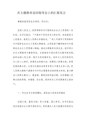 在主题教育巡回指导会上的汇报发言.docx