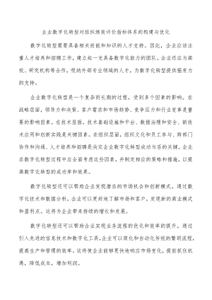 企业数字化转型对组织绩效评价指标体系的构建与优化.docx