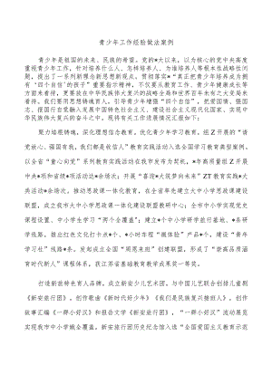 青少年工作经验做法案例.docx