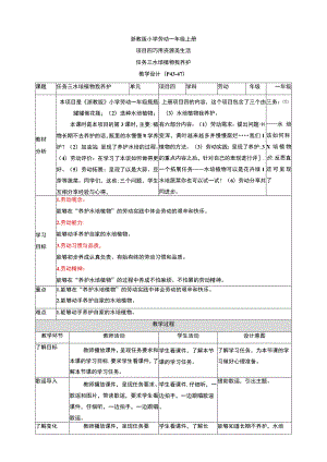 浙教版劳动教育一年级上册项目四 任务三《水培植物我养护》教案.docx