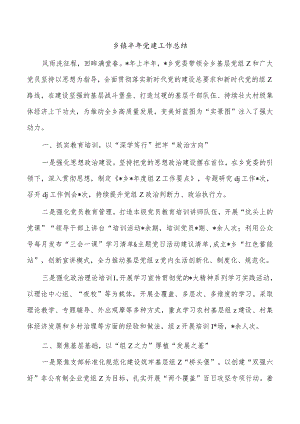 乡镇半年党建工作总结.docx