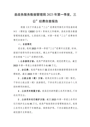 局2023年第一季度“三公”经费自查报告.docx