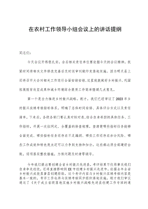 在农村工作领导小组会议上的讲话提纲.docx