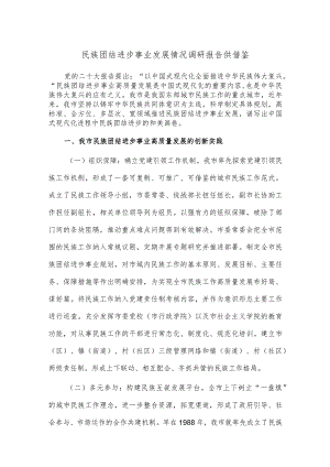 民族团结进步事业发展情况调研报告供借鉴.docx