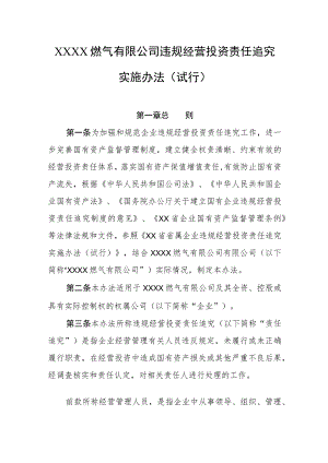 燃气有限公司违规经营投资责任追究实施办法（试行）.docx